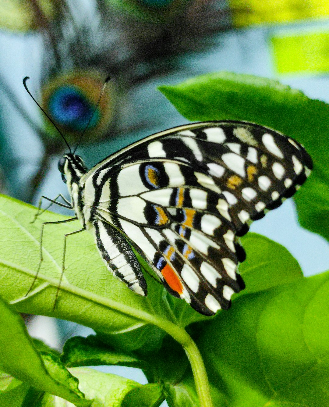 Unlocking Your Mind’s Potential: The Sober Advantage