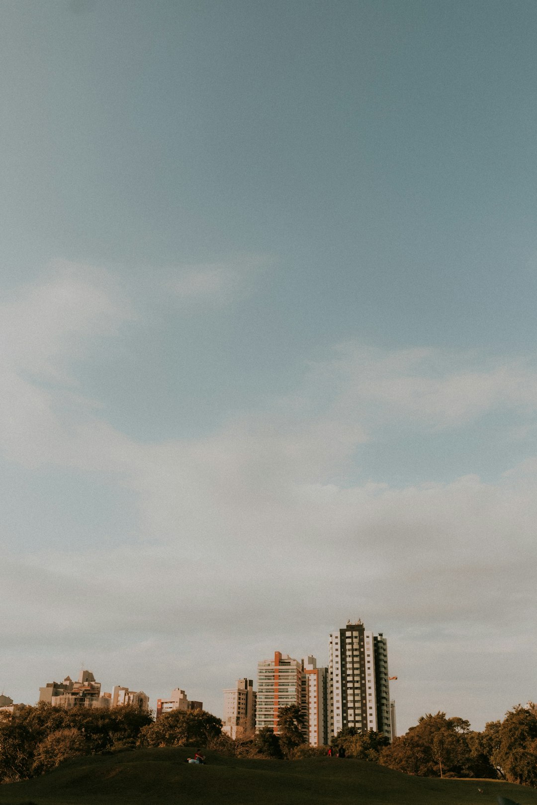 A kite flying in the air over a lush green field