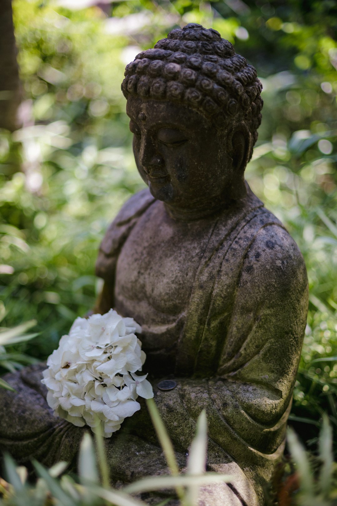 Stone buddha statue with white flower in garden