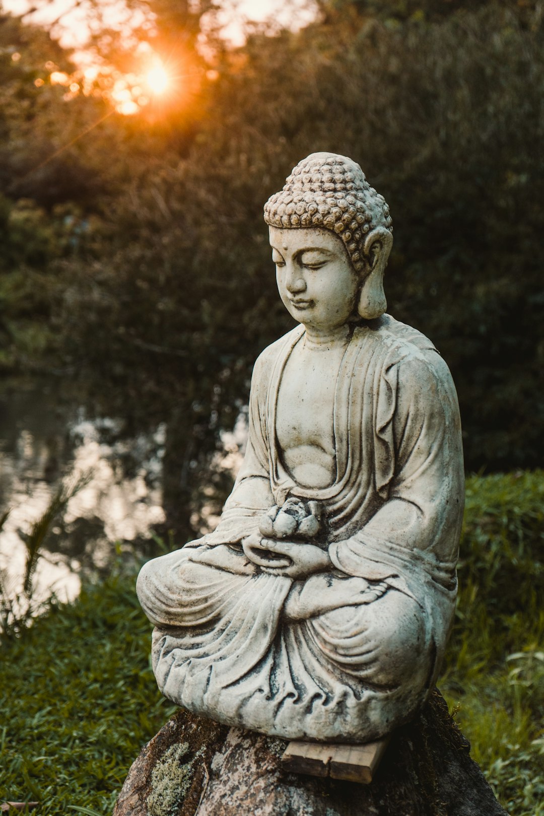 a buddha statue sitting on top of a tree stump