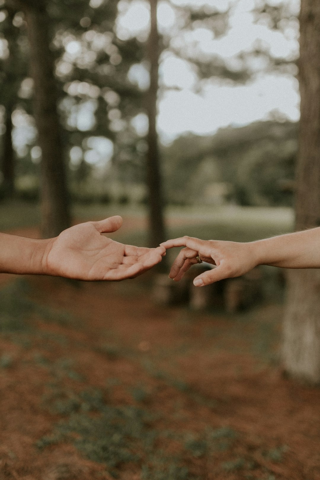 two people reaching out their hands to each other