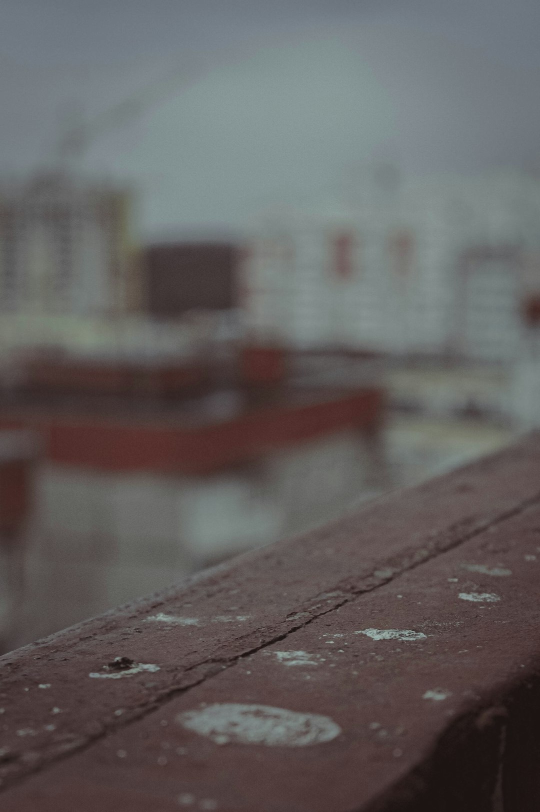 a bird sitting on a ledge in front of a body of water
