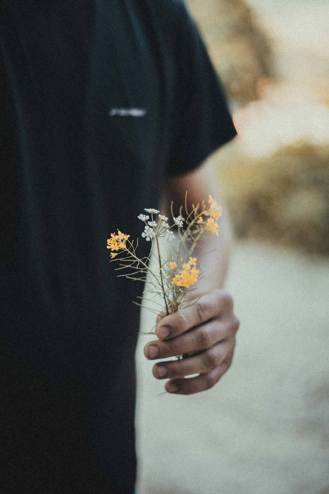 a person holding a bunch of flowers in their hand