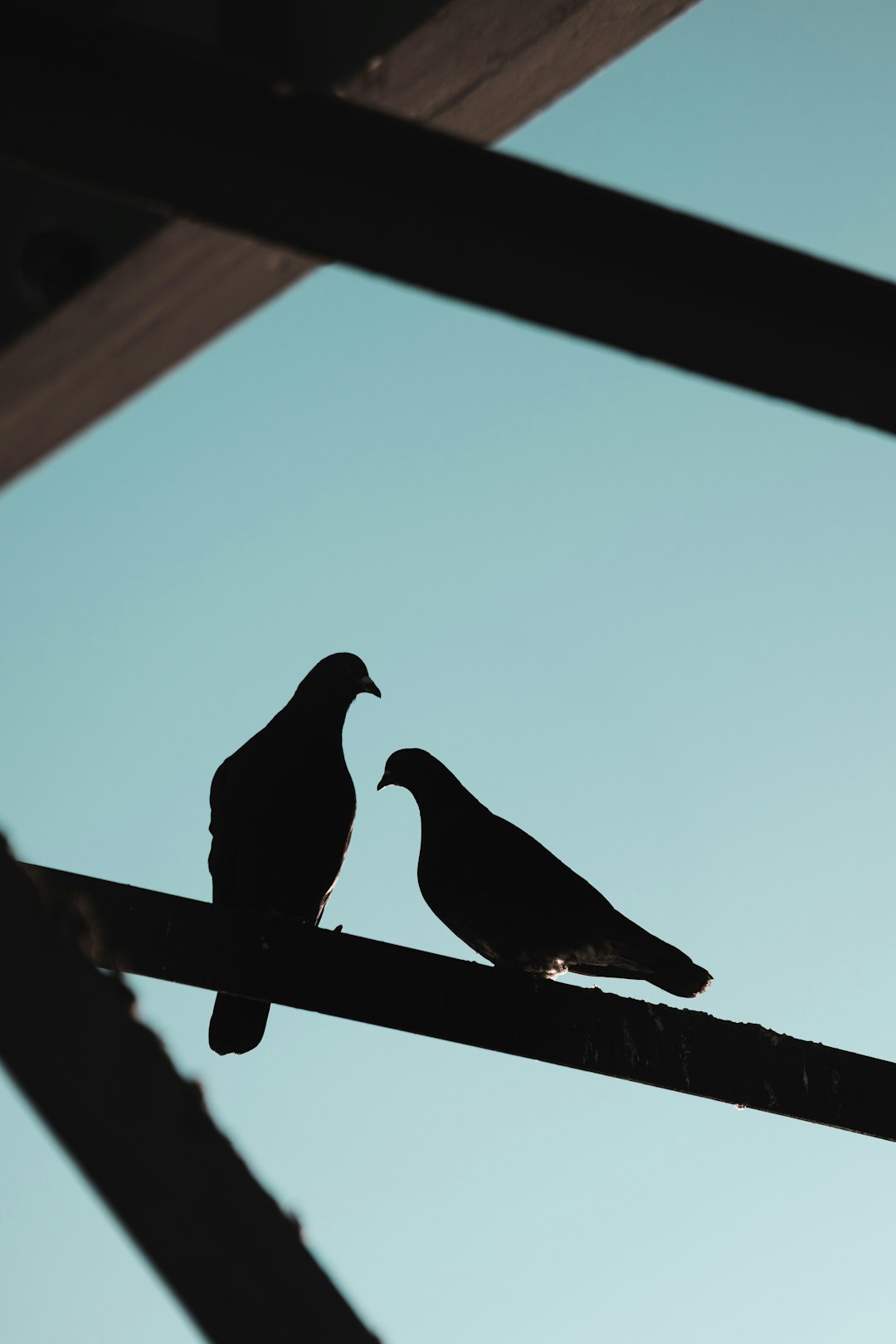 Strengthen Your Bonds: The Relationship Benefits of Reducing Alcohol